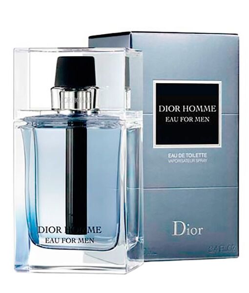 Christian dior hotsell homme perfume